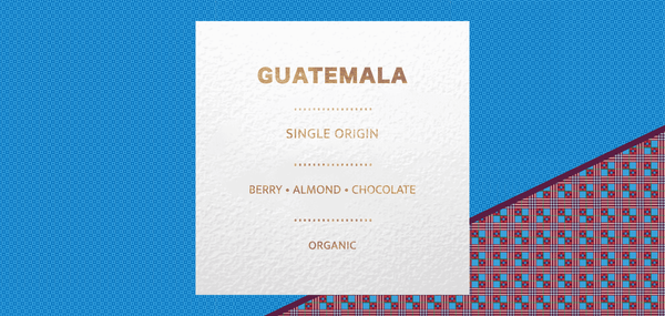 Organic Guatemala Antigua raw, unroasted coffee beans. Fresh green coffee for home roasters. Roasting light, medium dark espresso roast develops rich flavor