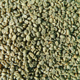 Grand Parade Coffee, Organic Colombia Supremo Unroasted Coffee Beans; specialty arabica green raw coffee beans