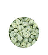 Organic Kenya Blue Mountain Unroasted Coffee Beans