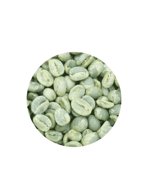 Organic Kenya Blue Mountain Unroasted Coffee Beans