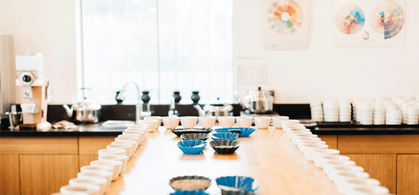 Exclusive Kenya Cupping Event