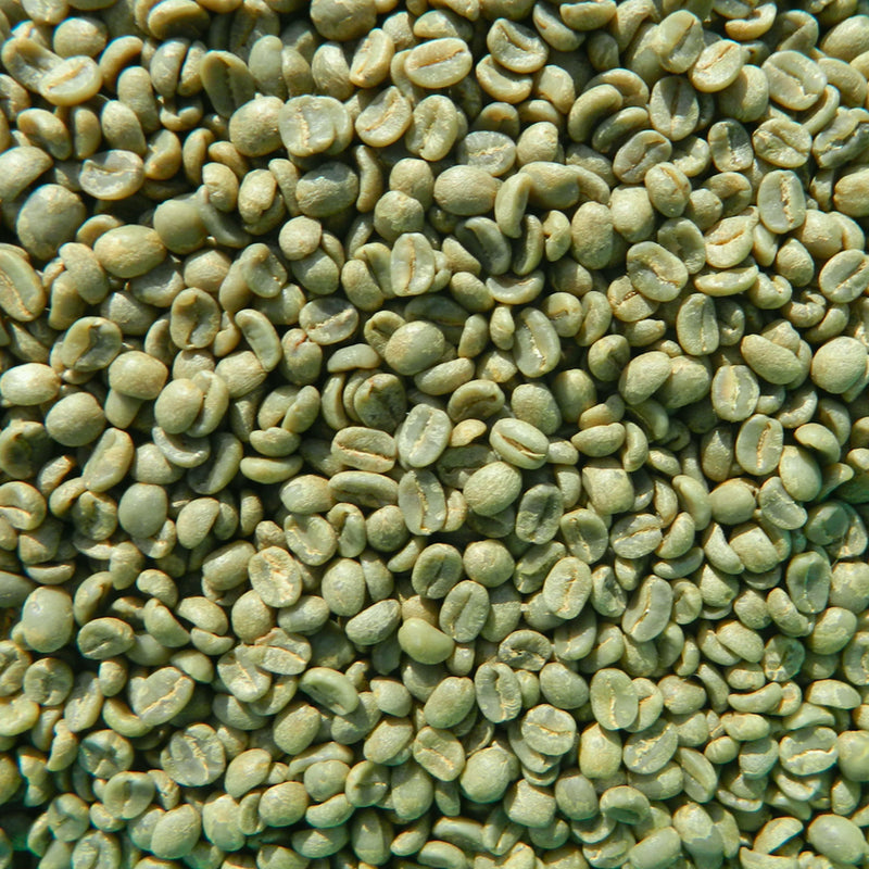 Grand Parade Coffee, organic Guatemala Antigua Unoasted Coffee Beans. Premium specialty arabica green coffee beans