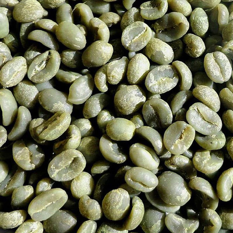 Grand Parade Coffee, Kenya AA Nyeri Pearless unroasted coffee beans. Specialty arabica green coffee beans.