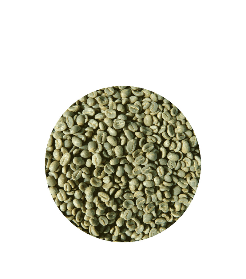 Grand Parade Coffee, Organic Colombia Supremo Unroasted Coffee Beans; specialty arabica green raw coffee beans
