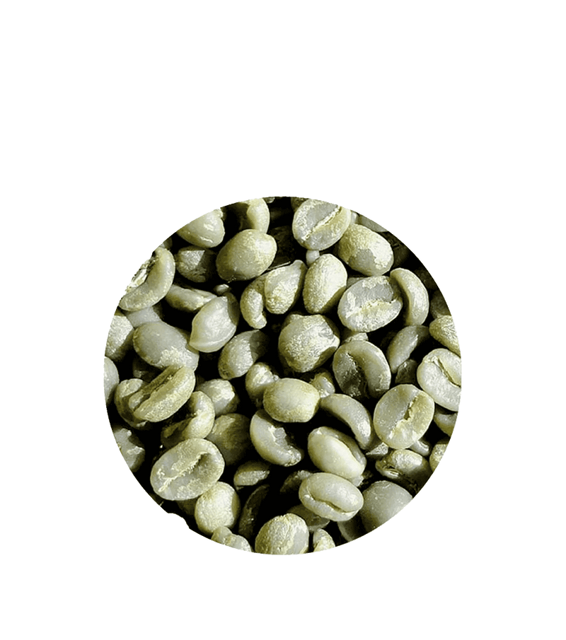 Organic Kenya AA Unroasted Coffee Muri Beans